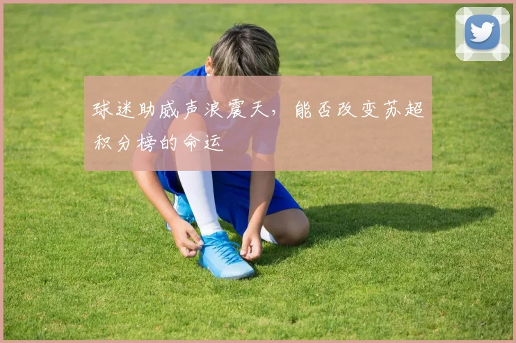 球迷助威声浪震天，能否改变苏超积分榜的命运