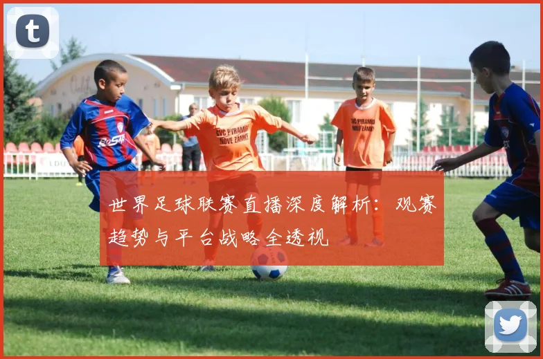 世界足球联赛直播深度解析：观赛趋势与平台战略全透视